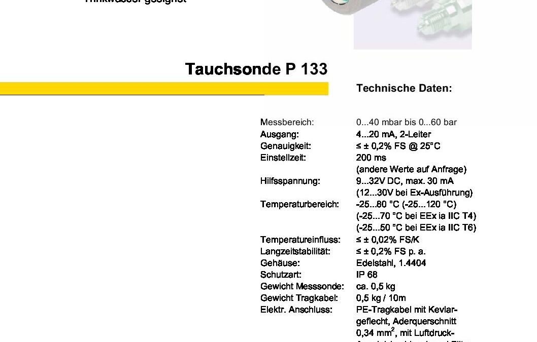 p133_Niveausonde_exgeschützt_de